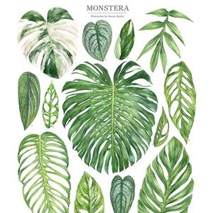 Meet your Posher, Carly